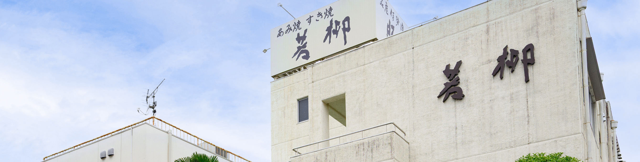 豚捨 若柳